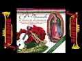 El Mariachi Le Canta A La Guadalupana - 20 Cantos Inolvidables