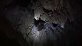 PETAR - Morcegos na Caverna Água Suja