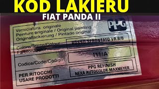 Kod lakieru - gdzie znaleźć? - Fiat Panda II