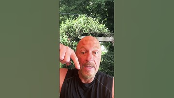 9 Different Temperaments in Autistic Individuals  #asd  #autism