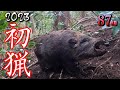 ＃72　【有害鳥獣駆除】87kgの大猪を元日に駆除！ - We got a 87 kg female boar!