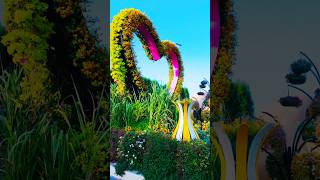 🌺😲 It’s Bigger Than You Imagine | Dubai Miracle Garden 4K |  #dubai #trending #explore #flowers #dxb
