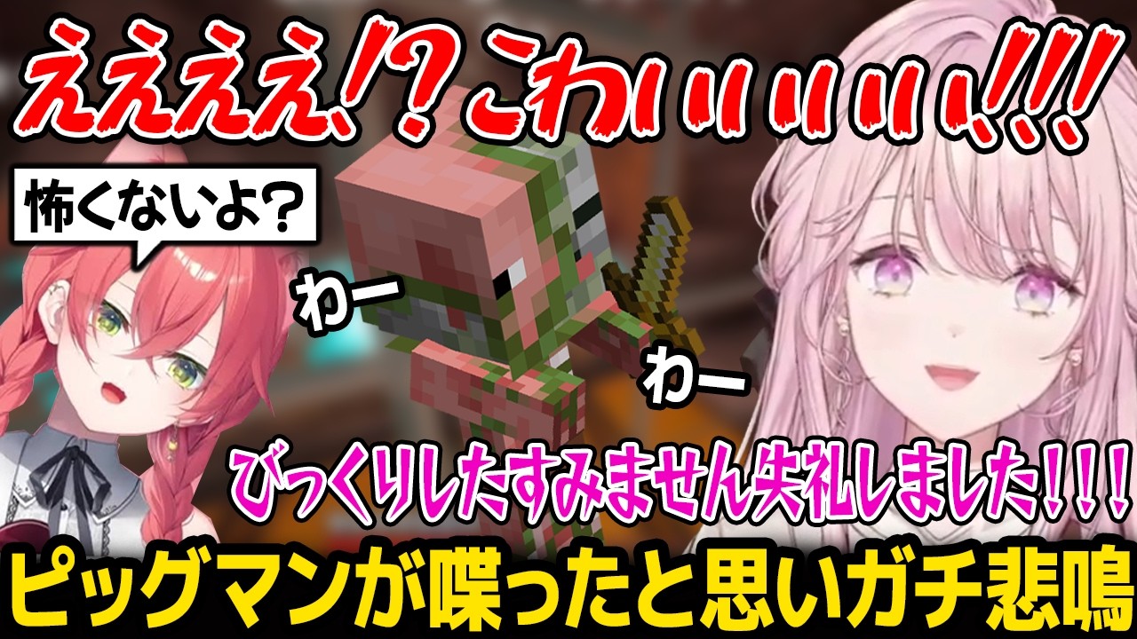 【あらなみマイクラ】あかぴゃの声をピッグマンの声と勘違いしてガチ悲鳴を上げることねw【御子神琴音 にじさんじ】