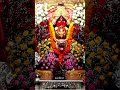 DAY-8 Harshiddhi Mata darshan!! #blessed #trending #shorts #navratri #maa #darshan #youtubeshorts