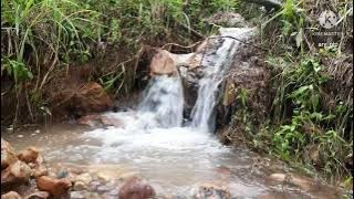 'GABAK DI ULU TANDO KA UJAN CEWANG DI LANGIK TANDO KA PANEH' Lokasi: PALUPUAH