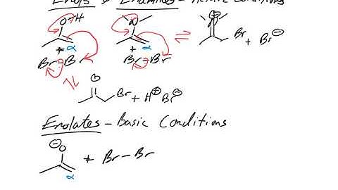 Enols, Enamines, and Enolates as Nucleophiles