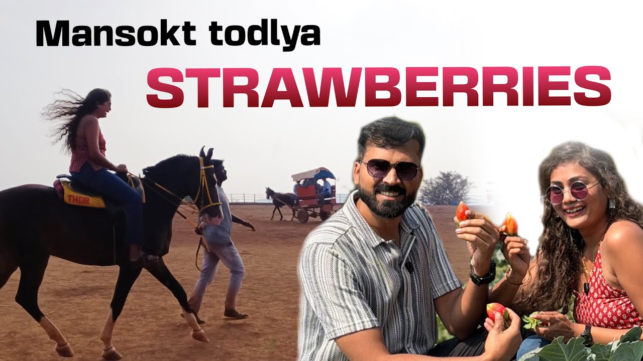 Mansokt todlya strawberries 🍓 | Horse Riding 🔥 | Akshay and Simu
