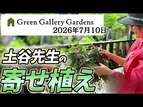 Live Stream》July 10, 2026: Presenting Masumi Tsuchiya's Container