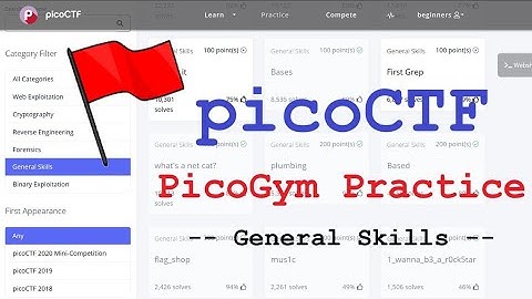 CTF Diary DEDSEC | General Skill : obedient cat, python wrangling, wave a flag, nice netcat