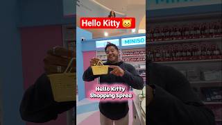 Hello Kitty MINI Shopping Spree 🛍 #hellokitty #miniso #miniature #myminisousa
