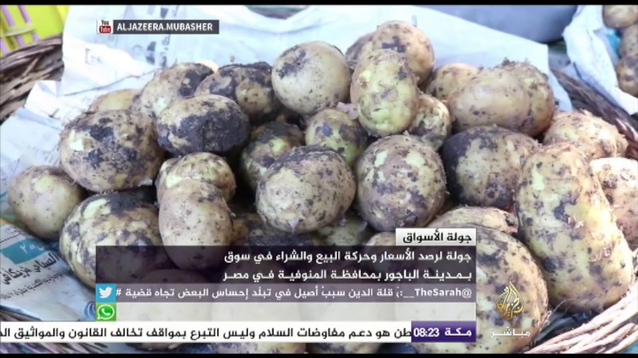 رصد الأسعار وحركة البيع والشراء في سوق بمدينة الباجور بمحافظة المنوفية في مصر