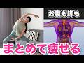 【全身の脂肪が燃える】お腹・背中・下半身まで痩せる！脂肪が落ちて体型が変わる有酸素運動