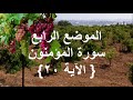 الزيتون ذكره وفوائده في القرآن والسنة