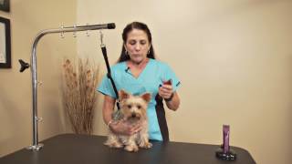 bravmini cordless trimmer kit