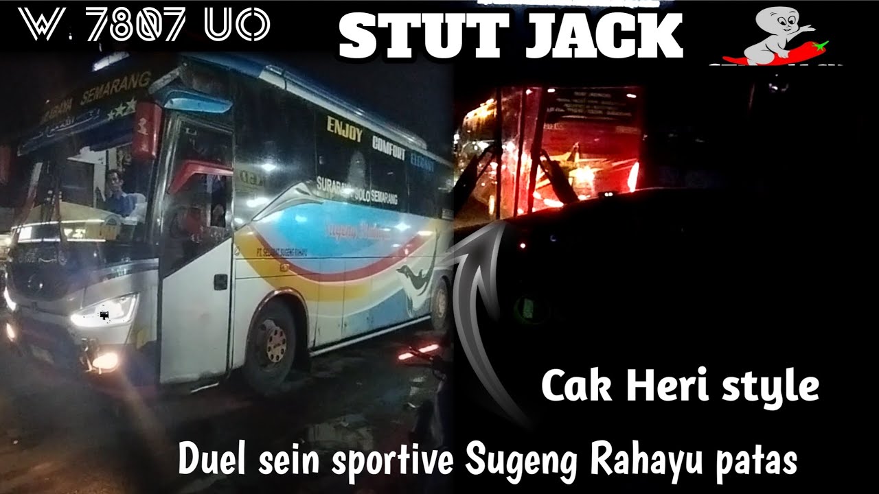 DUEL SEIN SPORTIVE SUGENG RAHAYU PATAS FEAT SUGENG RAHAYU STUT JACK 7807🔥