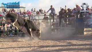 MAREMOTO VS DIABLITO SOLA