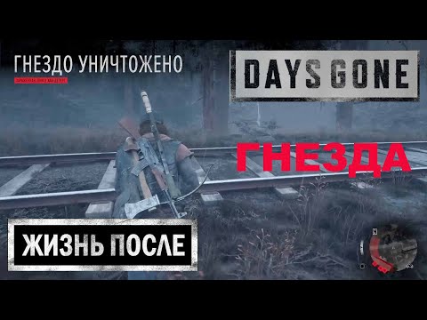 КАК ЗАЧИСТИТЬ ГНЕЗДА ★ ЗАЧИСТКА ЗАРАЖЕННОЙ ЗОНЫ ★ DAYS GONE ★ ЖИЗНЬ ПОСЛЕ ★ #7