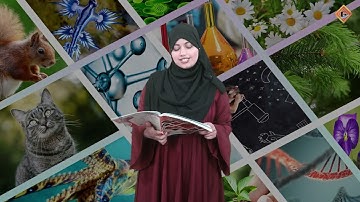 Gohar Science 5|Unit 8|Lec 4|Soil