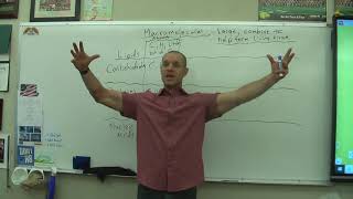 Macromolecule Overview
