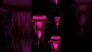 Httpsyoutubeepffuc1lynqsi6bx9qwnhj0kfhvl ekmotahathighumechala