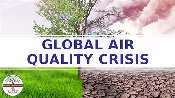 Air Pollution Harms Our Health - E-learning Explainer Video