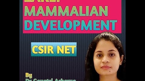 Early Mammalian Development/Developmental Biology/CSIR-UGC NET/By Dr Gayatri Acharya