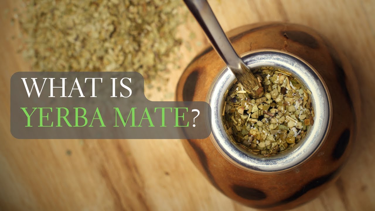 What is Yerba Mate? Yerba Mate Facts and More! 