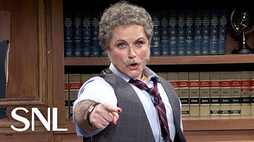 Experienced Lawyers - SNL