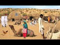 Most adventurous travel in desert  pakistan village life  nomads life  desert woman routine
