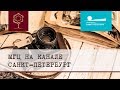 Международный Генеалогический Центр на канале Санкт-Петербург