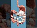 What Happens Inside Your Body When You Eat Yogurt?#Yogurt#Probiotics#GutHealth