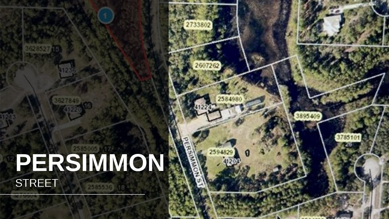 PERSIMMON STREET | EUSTIS Real Estate
