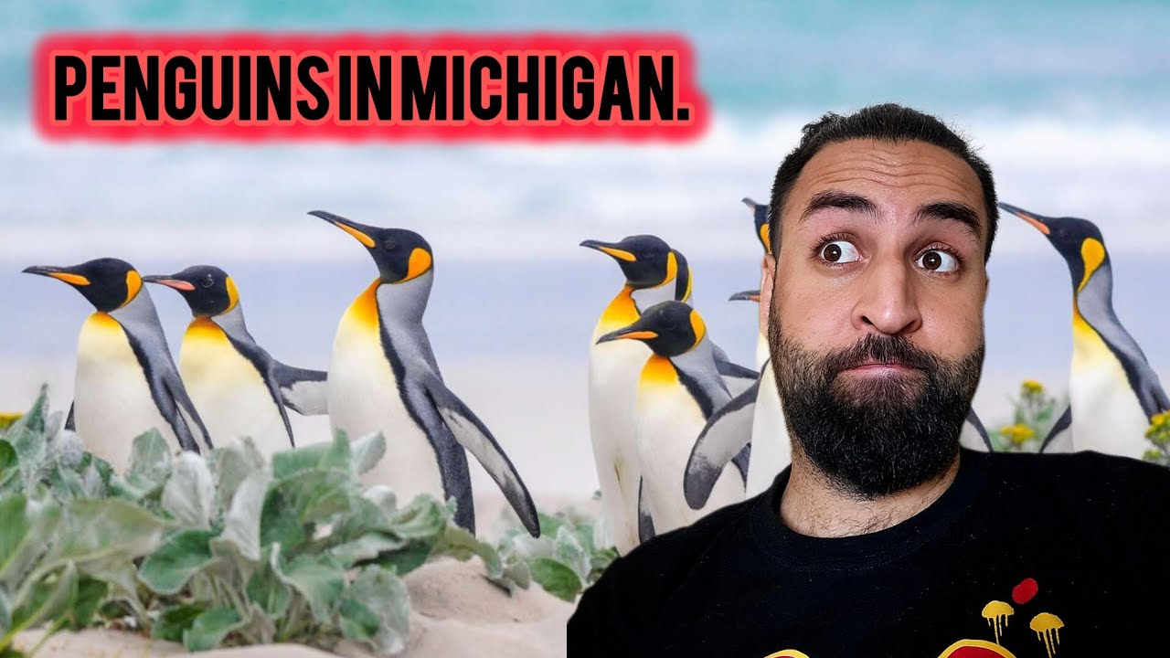 Detroit zoo visit  ,  penguins in Michigan 😱