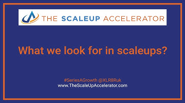 What we look for in scaleups? - The ScaleUp Accelerator
