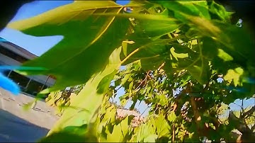 DJI FPV - How to crash a NAZGUL5.