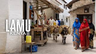 An Island With No Cars, Only Donkeys Andboats. Lamu - Kenya
