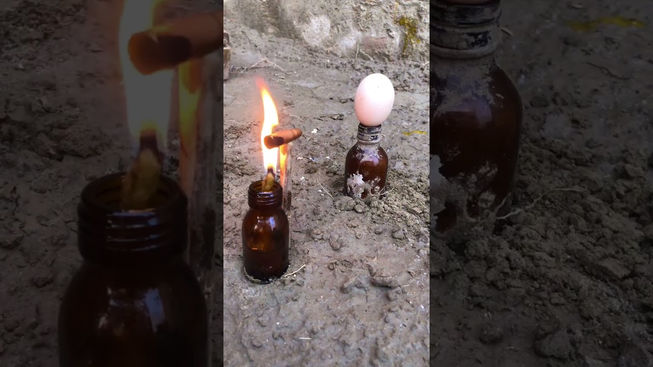 Bullet Vs Egg , Amazing Experiment 