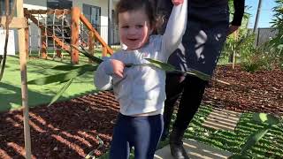 Introducing Maples Early Learning