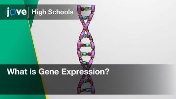What is Gene Expression? | Bio | Video Textbooks - Preview