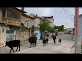 Köy Yaşamının En Doğal Hali | Vlog