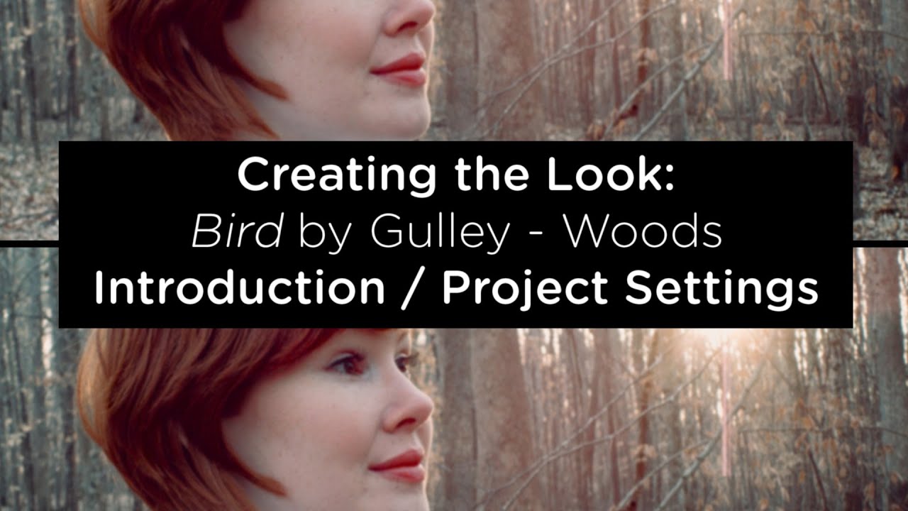 Creating the Look: Woods - Part 1: Introduction/Project Settings -  DaVinci Resolve 9