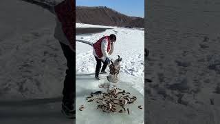 Фото So Cool Ice Fishing - Amazing Techniques Rural Fishing🐟 #shorts #fishing #icefishing
