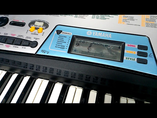 YAMAHA PSR 170 (demo songs) - YouTube