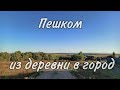 Пешком из Шашкино в Мценск