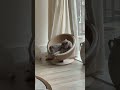 Only cats lovers