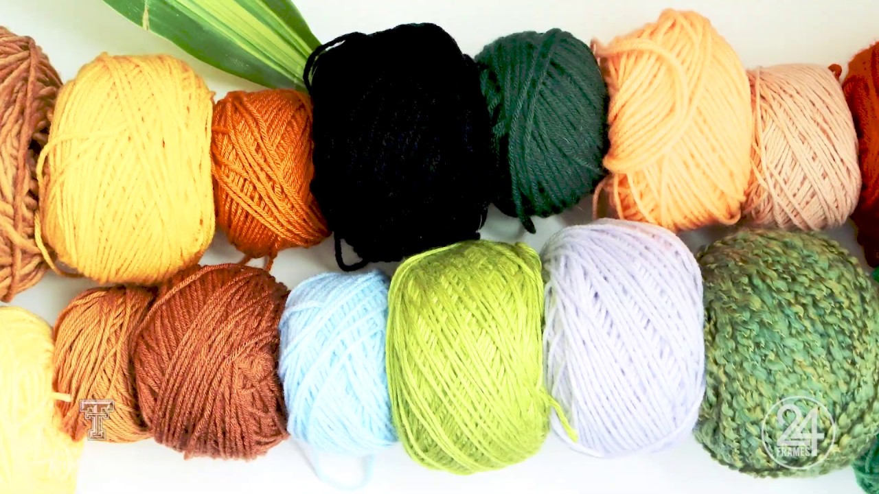 Agave Fiber | 24 Frames | PBS Digital Studios