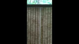 Da blind guys inc levolor fabric verticals