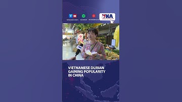 Vietnamese durian gaining popularity in China