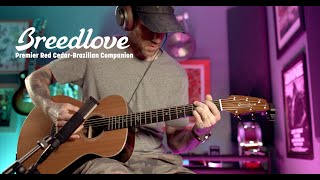 Breedlove Premier Red Cedar - Brazilian Companion Guitar Overview