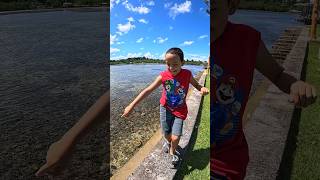 🎉🎂HAPPY BDAY JOSEPH❤️🏝️ 🇵🇼 6/19/26#micronesia #palau #pacificislands